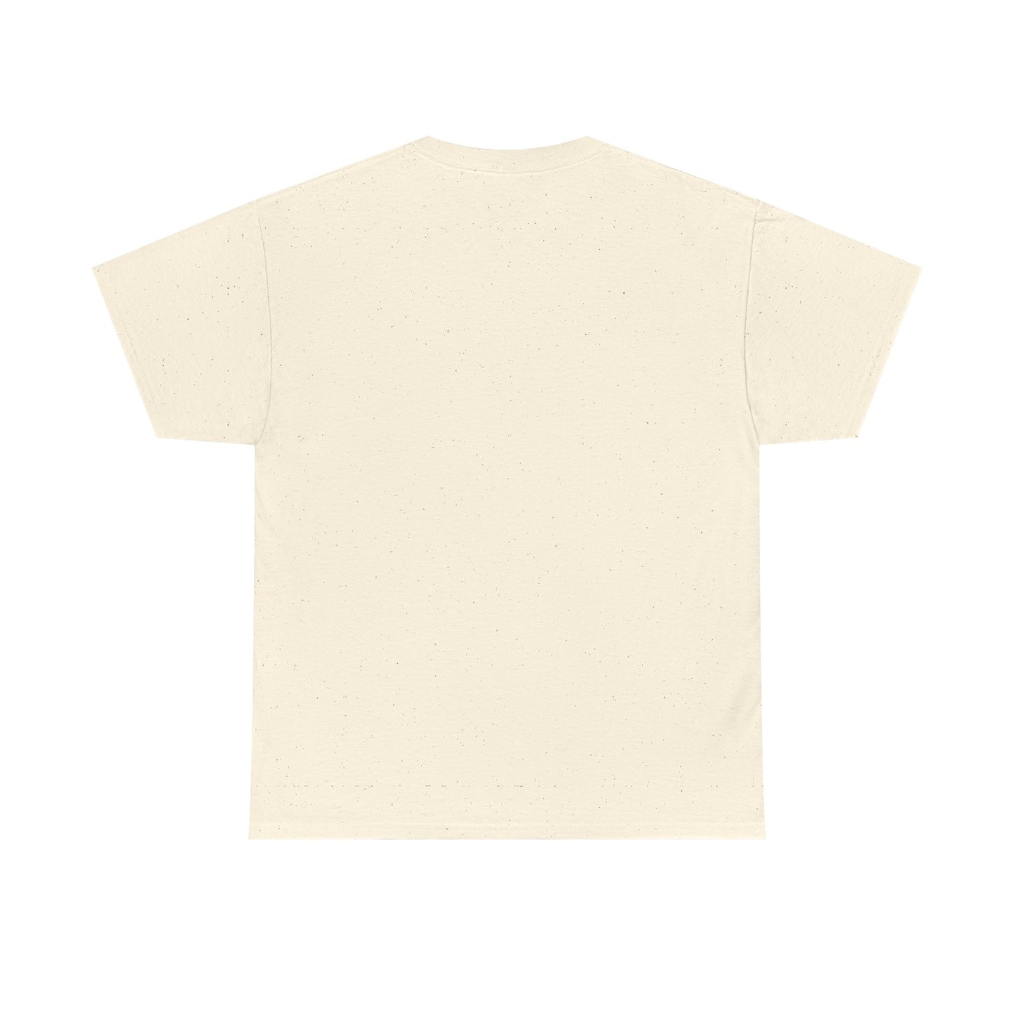 Teacher T-Shirt - "Literacy & Justice for All" Patriotic Apple & Pencil Tee